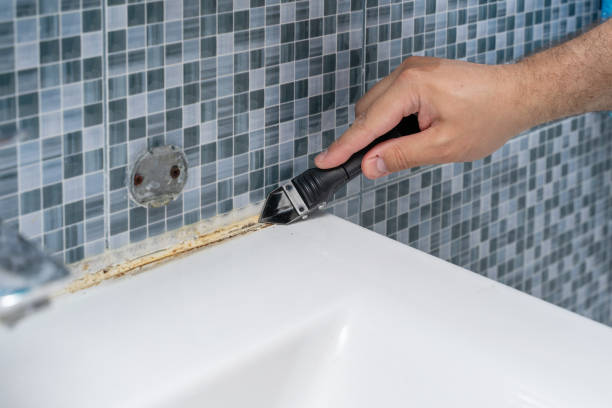Best Emergency Mold Removal  in Pond Creek, OK